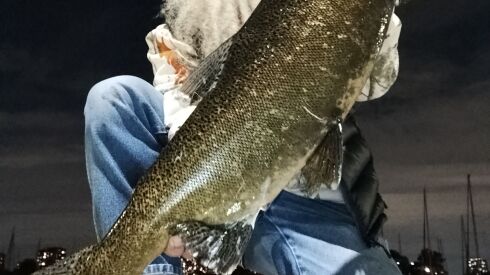 Tim “Spike” Davis with another Chinook at Montrose Harbor. Provided photo