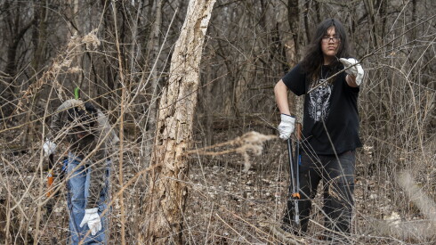 Antonio Marquez (right) throws a piece of European buckthorn into a pile after cutting it on Valentine’s Day during Shedd Aquarium’s volunteer action days at LaGrange Park Woods in La Grange, Ill., Saturday, Feb. 14, 2026.