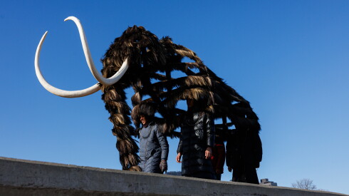 Dancers donning the mammoth costume walk past for the video portion of “Nick Cave: Mammoth” a series by artist Nick Cave during a video shoot near the Theater by the Lake at North DuSable Lakeshore Drive and West Fullerton Parkway on the lakefront, Tuesday, Jan. 13, 2026.