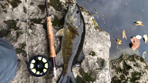 A quality smallmouth bass caught on a tributary of the Fox River. Provided by Pete Lamar