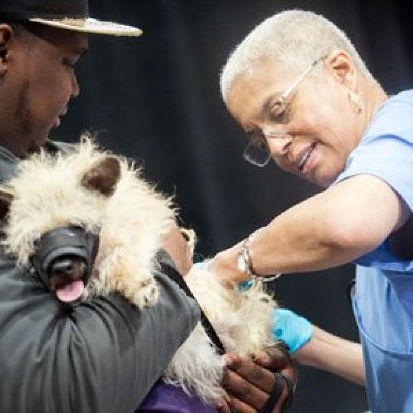 Every summer, Dr. Donna Alexander administered thousands of reduced-cost rabies shots. | Sun-Times files