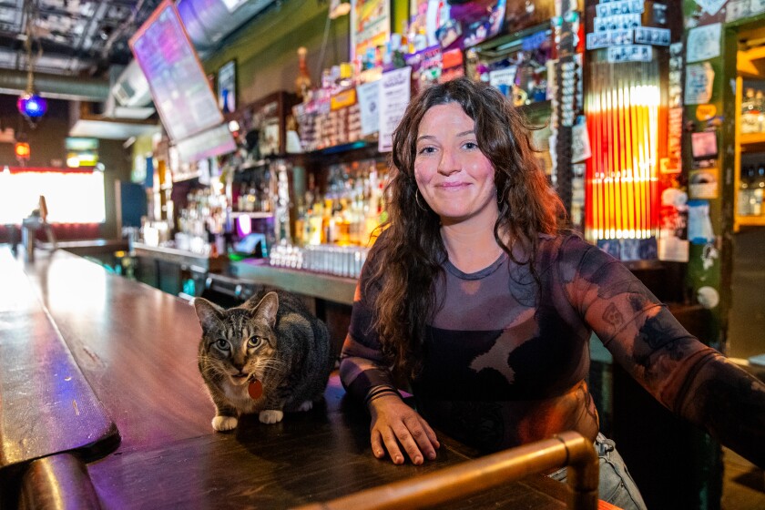 Molly Mobley is lead talent buyer of the Empty Bottle at 1035 N. Western Ave. in Ukrainian Village. Peg is the bar cat.