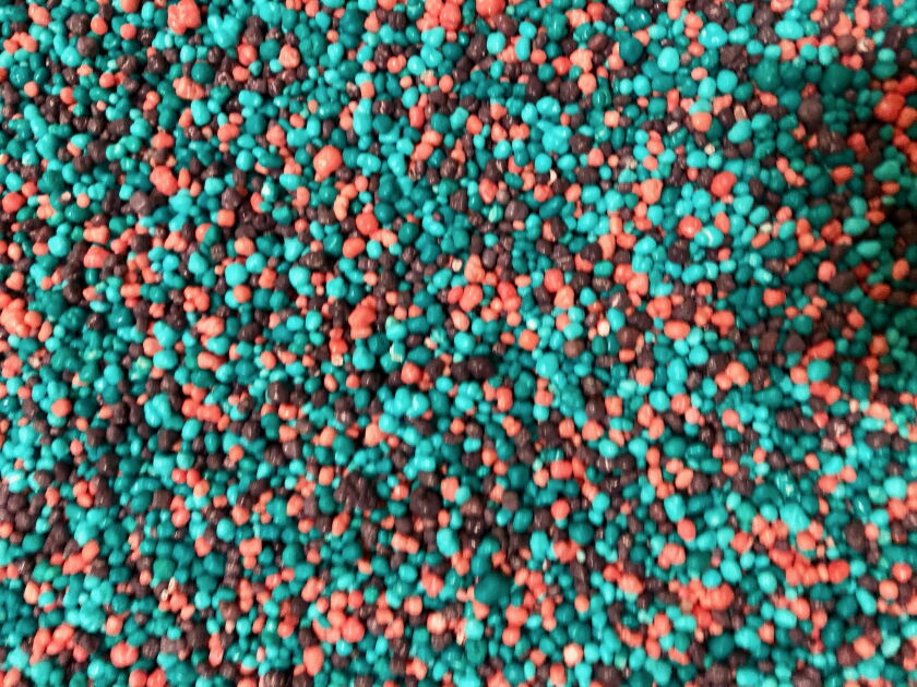Nerds, small flavored sugar nuggets, await packaging at Ferrara’s Itasca plant. The company says that Nerds are growing steadily in popularity.