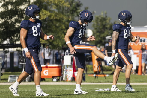 BEARS_260805-12.jpg
