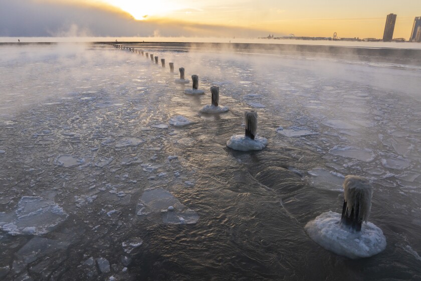 COLD_260124-8.jpg