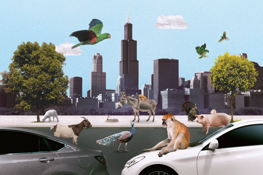 طراحیهای جلد (۴).png