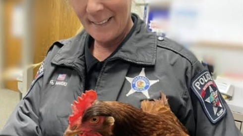 Northbrook animal control officer Gina Manski shown on the job.