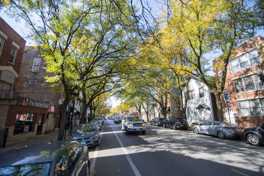 Taylor Street in Little Italy. | Tyler LaRiviere/Sun-Times