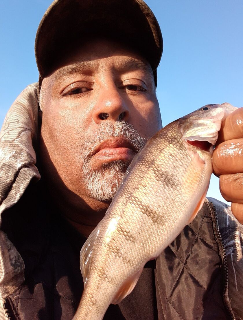 Perch on the Chicago lakefront. Provided photo