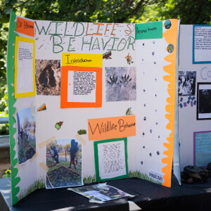 Project Exploration summer programming student showcase.