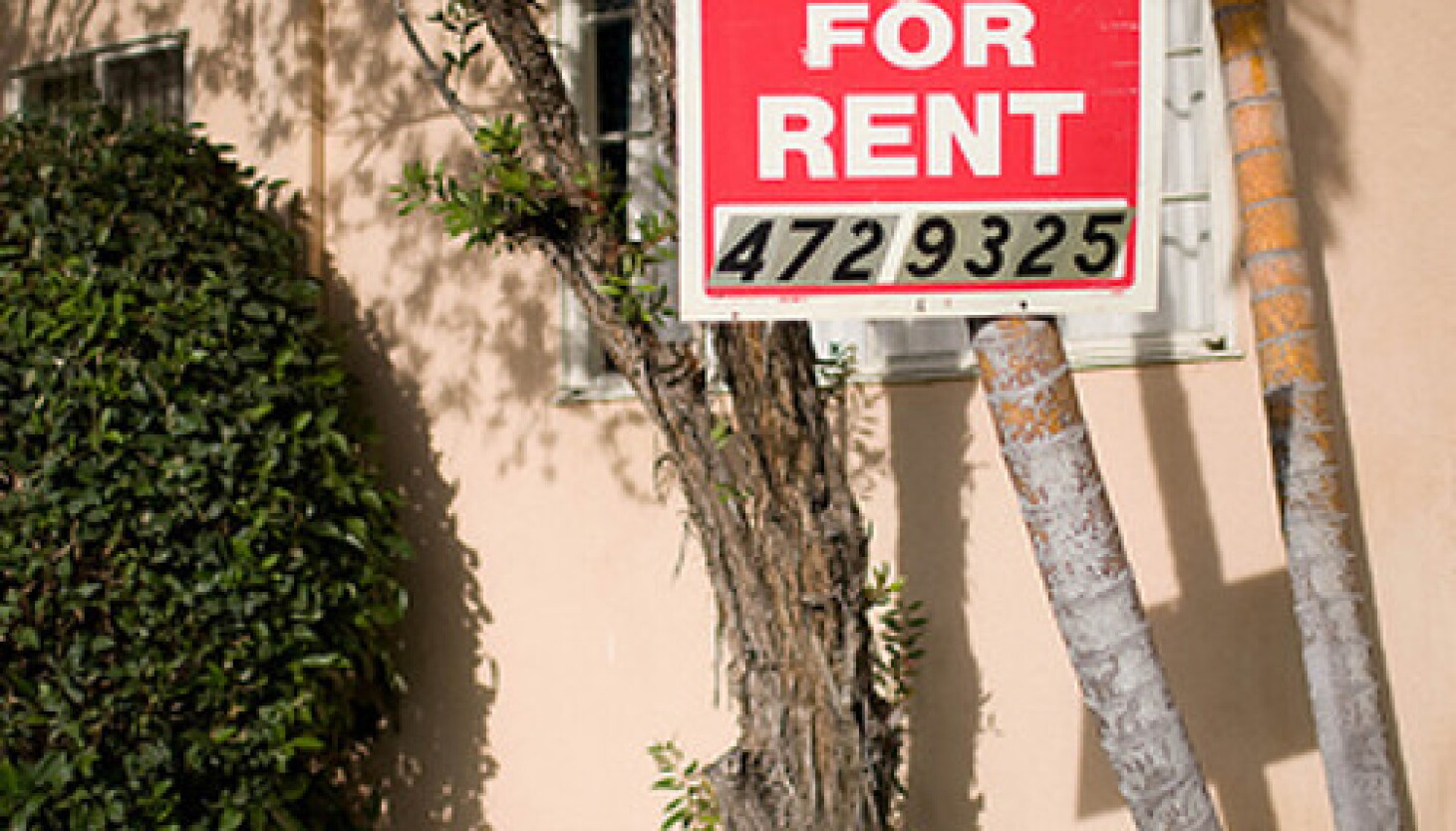 Private Renting Nightmares Apartment renting nightmares - WBEZ Chicago