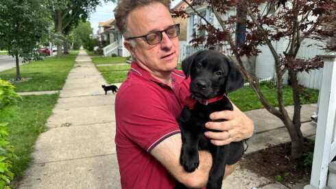 Sun-Times reporter Stefano Esposito holds his new black Labrador puppy, Bourbon.