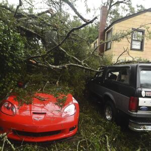 A fallen tree from Florence, now a tropical storm, covers several cars in Wilmington, N.C., Saturday, Sept.15, 2018. (Matt Born/The Star-News via AP)