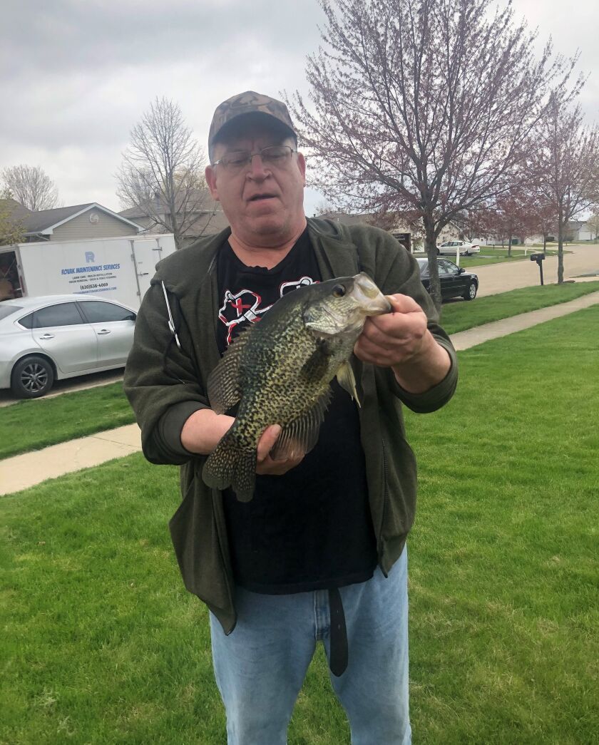 Crappie in Plainfield. Photo provided by Russell Pienta.