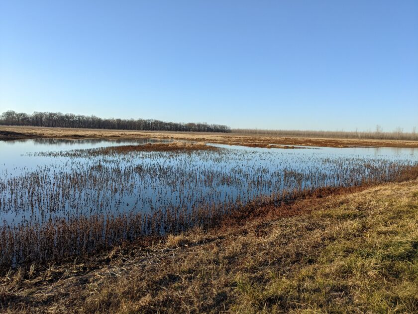 A view of the back of the east side of Embarras River Bottoms last week. Credit: Dale Bowman
