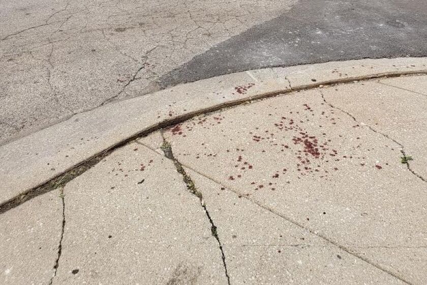 The accident was in Wicker Park.