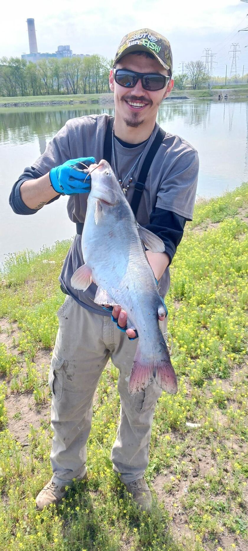 Blue catfish at Powerton Lake. Provided photo