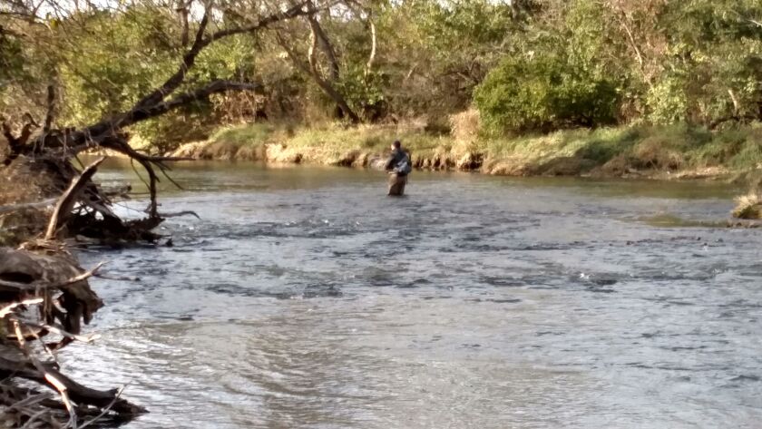 The new Outdoor Illinois app allows anglers to set reminders when trout season opens at places such as Rock Creek, shown here in the fall of 2017. Credit: Dale Bowman