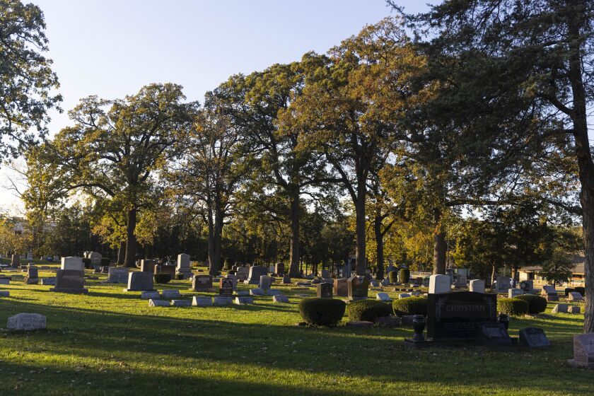 Glen Oaks Cemetery in Hillside, where Alexander’s remains were buried | Anthony Vazquez/Sun-Times