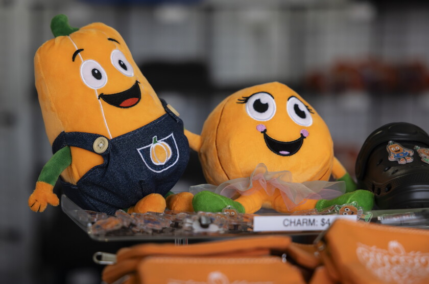 STEINBERGPUMPKINS_261018-22.jpg