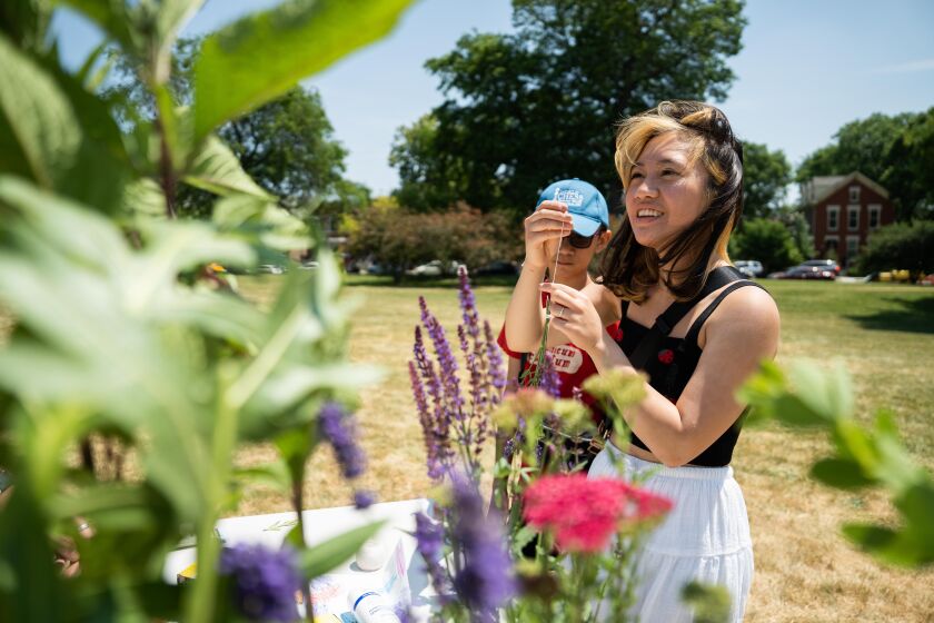 Alexandra Flojo, 19, strings together dried flowers during a celebration of the Triangle Garden at the McKinley Park Community Garden, Saturday, June 10.