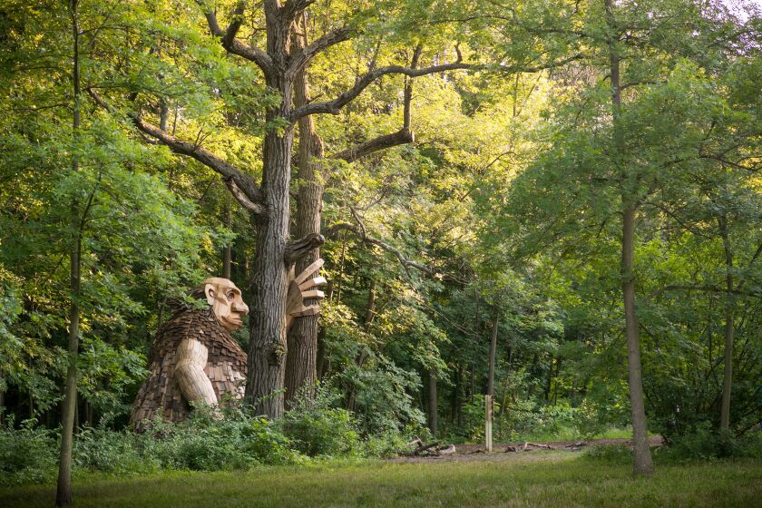 Arboretum_troll_1.jpg