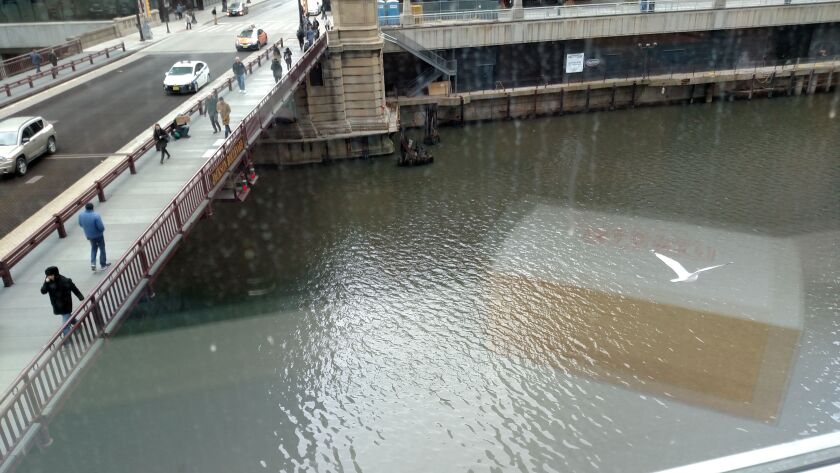 Scene from MillerCoors during the 2017 Chicago River Summit: A gull coasting through the window reflection while cars drive orver the bridge and people scurry on.<br>Credit: Dale Bowman