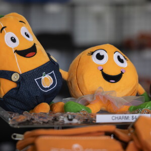 STEINBERGPUMPKINS_261018-22.jpg