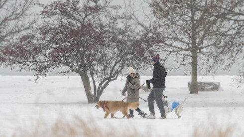 A couple walks their dogs through a snow covered park near Belmont Harbor as a light snow shower falls upon the the Chicago, Wednesday, Dec. 3, 2025.