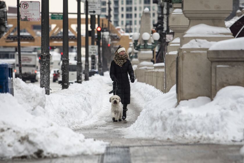 A woman walks her dog on West Wacker Drive near North Clark Street in the Loop, one day after parts of Chicago were walloped by the city’s largest winter storm this season, Wednesday, Feb. 17, 2021.