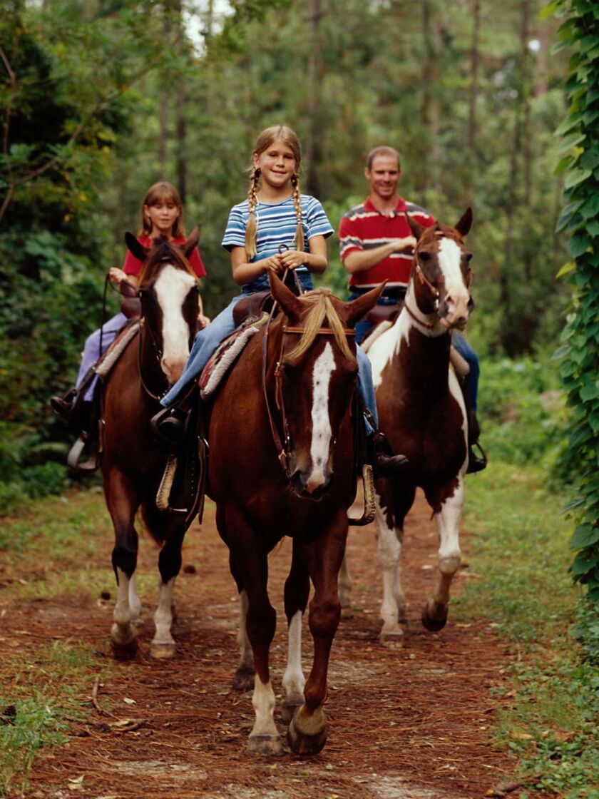 The Tri-Circle-D Ranch at Fort Wilderness offers horseback trail rides, pony rides, and horse-drawn wagon and carriage rides. | Walt Disney World