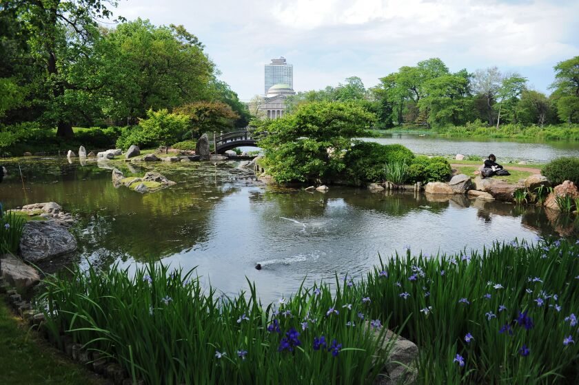Osaka Garden, Japanese garden on Jackson Park’s Wooded Island featuring a waterfall and foot bridges. | Victor Hilitski/For the Sun-Times