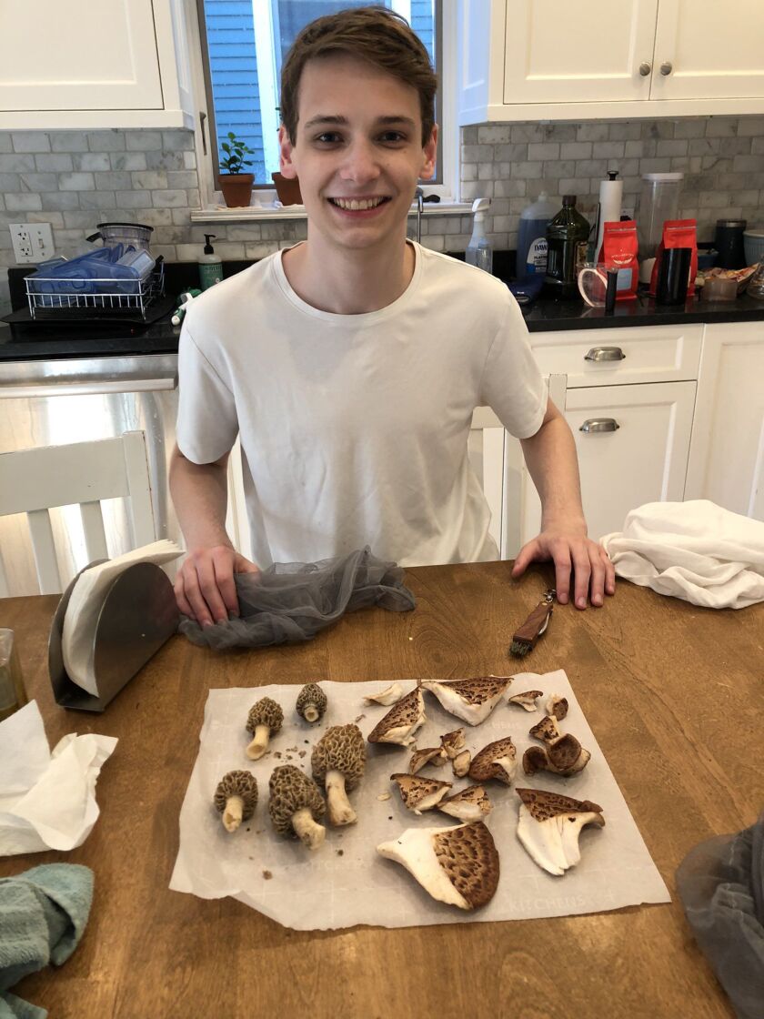 Addison Goolsbee with a mix of morels and pheasant backs found after school as an urban forager. Provided photo