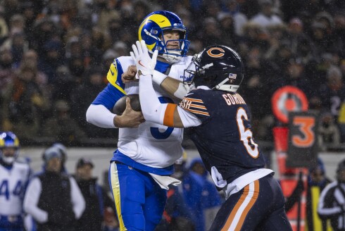 BEARS_260119-42.jpg
