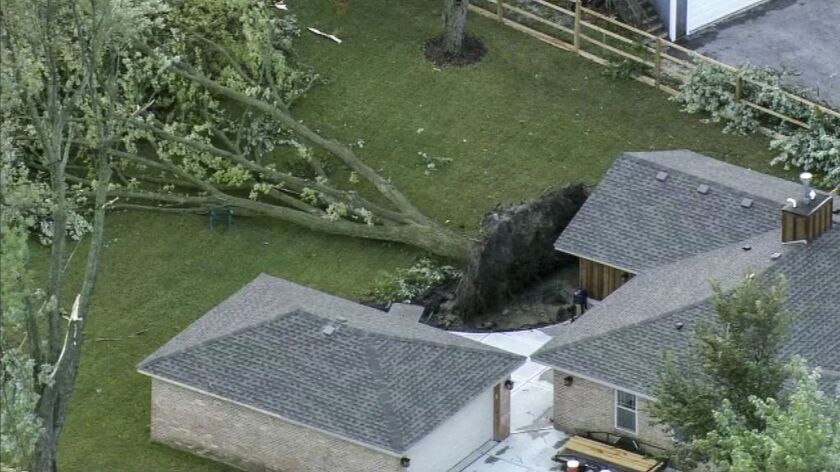 An uprooted tree in a Lake County backyard. | courtesy ABC-7