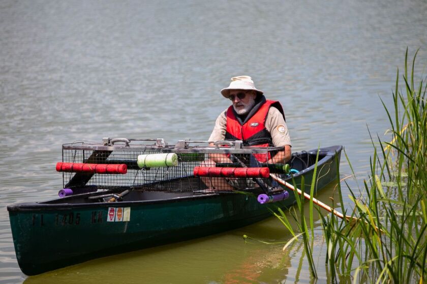 GATOR_071119_07.jpg