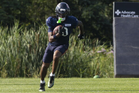 BEARS_260805-28.jpg