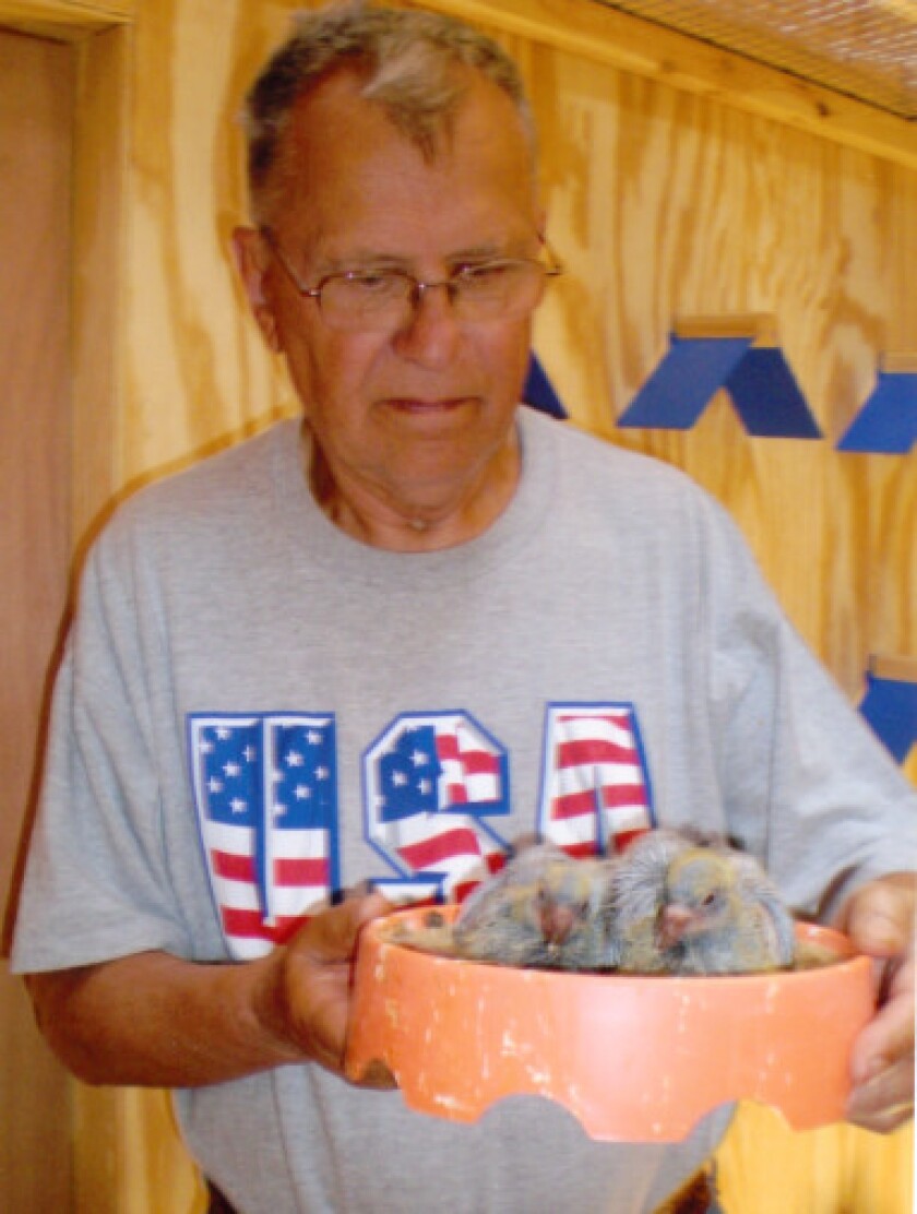 Tony Gacs and two of his racing pigeons in a nesting bowl. | Family photo