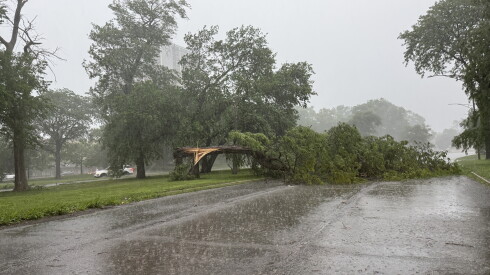 A tree is snapped over South Stony Island Avenue near 75th Street Wednesday, June 10, 2026.