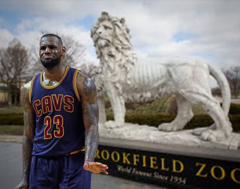 James_at_Zoo_600x471.jpg
