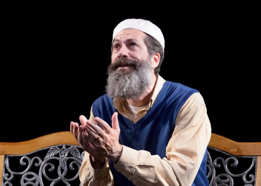 Rom Barkhordar in “The Who & the What” at Victory Gardens Theater. (Photo: Michael Courier)