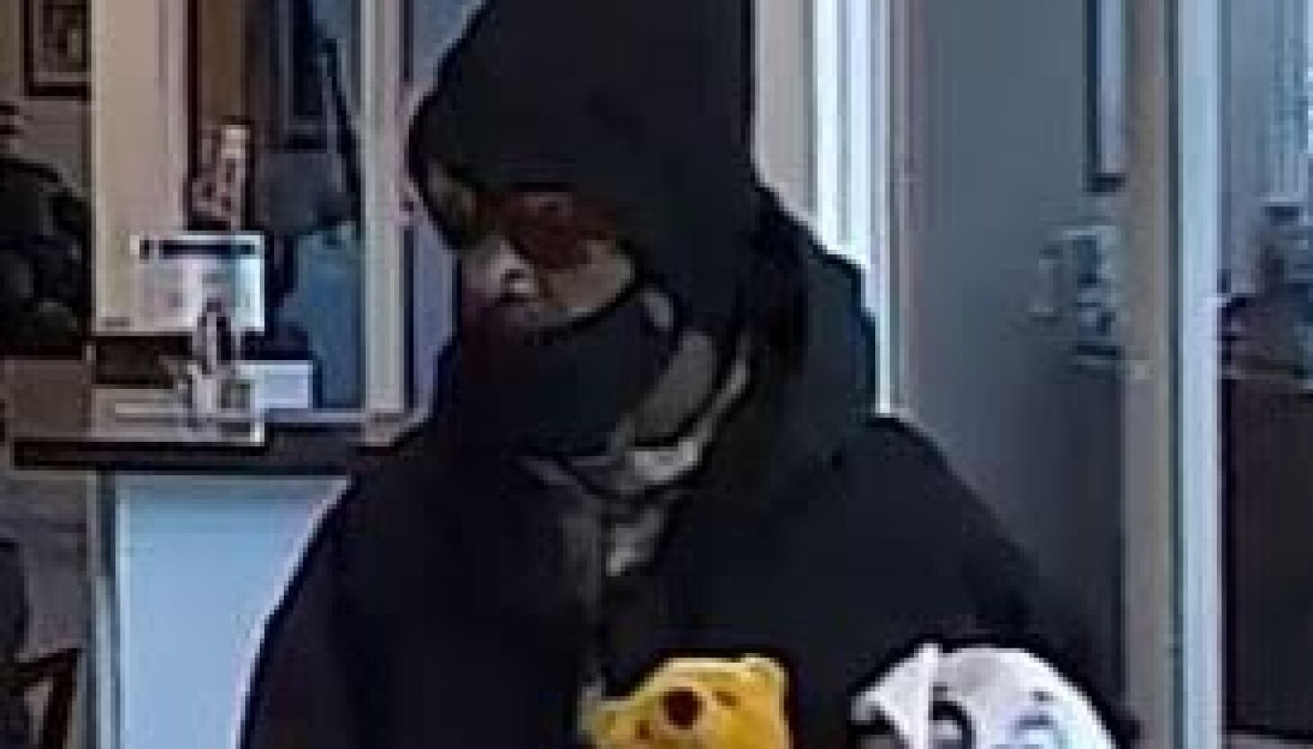 NextImg:Wanted: The Stuffed Bear Bandit. FBI offers $5,000 for arrest of Chicago bank robber