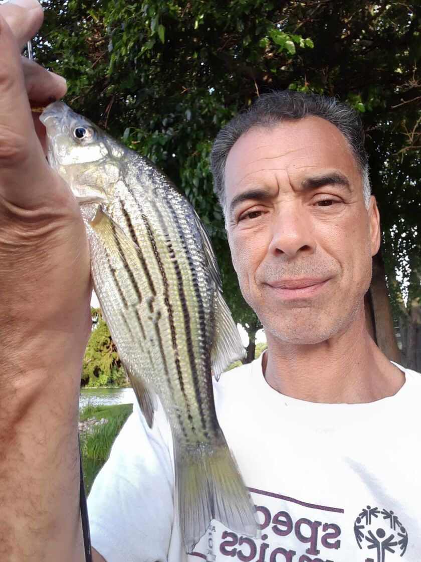 Rob Abouchar with a yellow bass from Island Lake. Provided photo