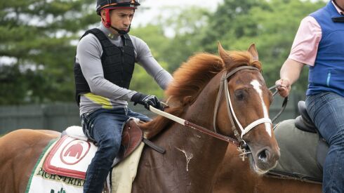 Rich Strike walks off the track after training before the 154th running of the Belmont Stakes.