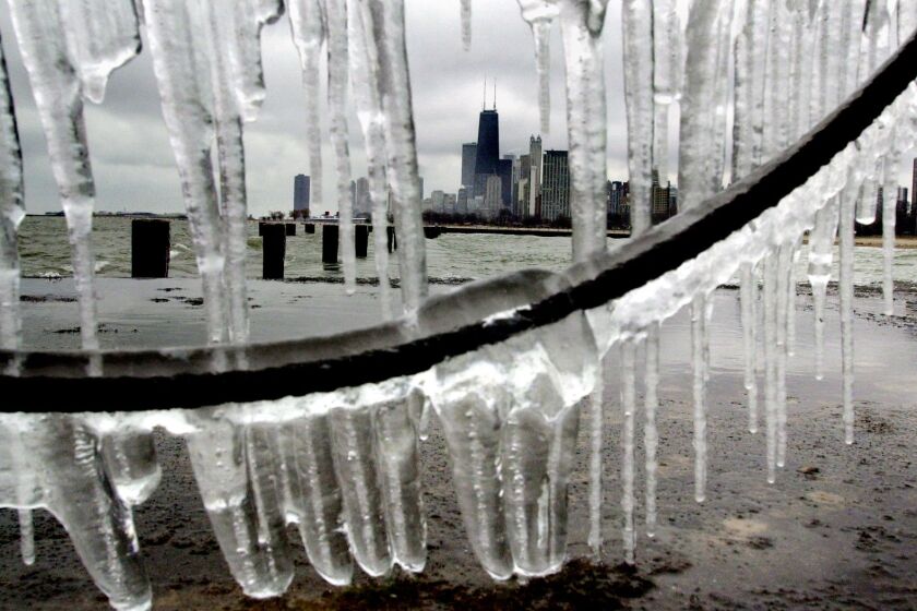 Exploring vendors at the dog show at McCormick Place in the current year