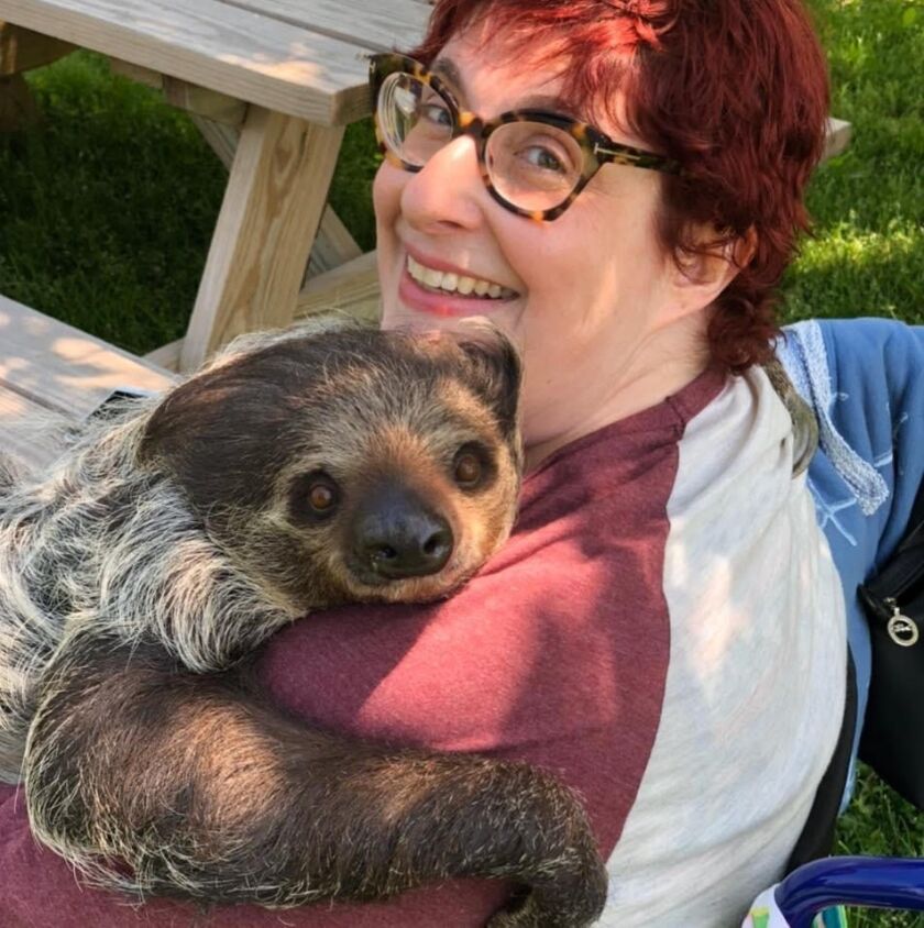 As illness forced her to slow down, Stacy Oliver felt a kinship with sloths and started collecting their likeness.