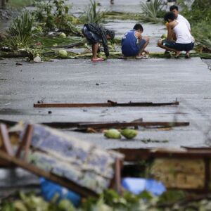 Residents collect coconuts which fell due to strong from Typhoon Mangkhut as it barreled across Tuguegarao city, Cagayan province, northeastern Philippines, Saturday, Sept. 15, 2018. Philippine officials were assessing damage and checking on possible casu