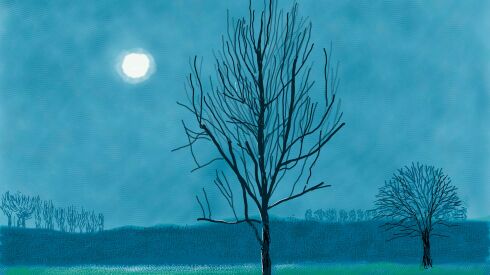 David Hockney, “5th March 2020, No. 2” | © David Hockney