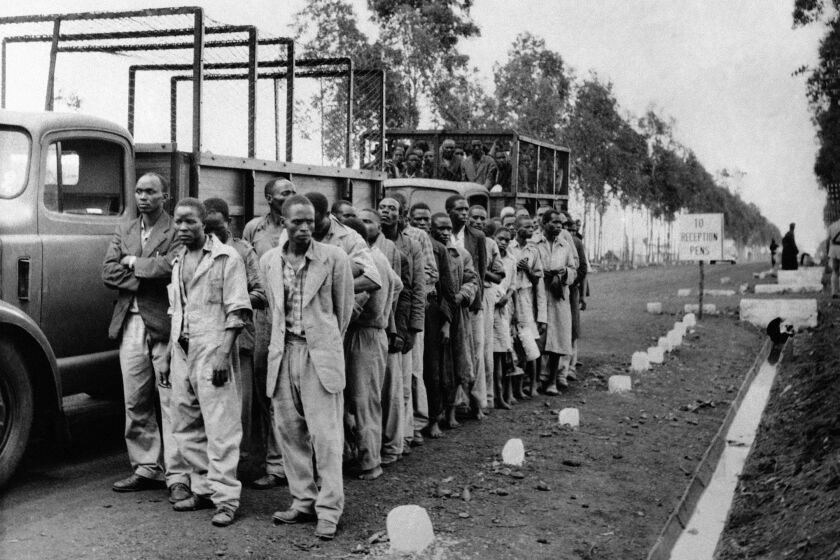 Kikuyu people arrive at a reception camp outside Nairobi, Kenya, on April 28, 1954, after 5,000 British troops and 1,000 armed police rounded up some 30,000 to 40,000 men for screening.