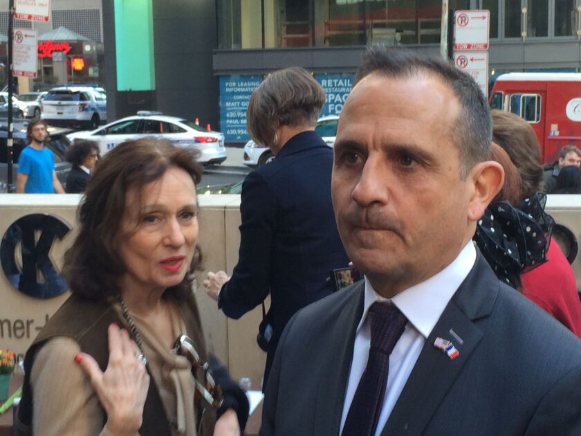 <small><strong> Vincent Floreani, consul general of France in Chicago, spoke to a crowd outside his Michigan Avenue office Sunday.</strong></small>